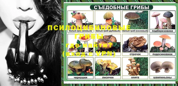 PSILOCYBIN Вязьма