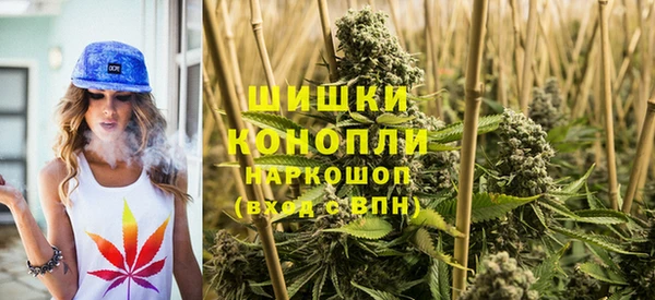 сатива Горняк