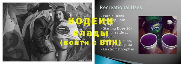 амф Вяземский