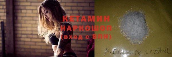 сатива Горняк