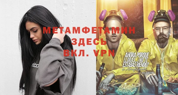 сатива Горняк