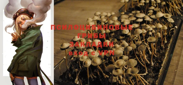 PSILOCYBIN Вязьма