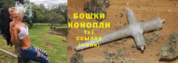 амф Вяземский