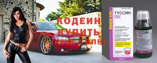 сатива Горняк