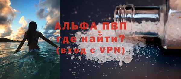 сатива Горняк