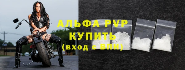 сатива Горняк